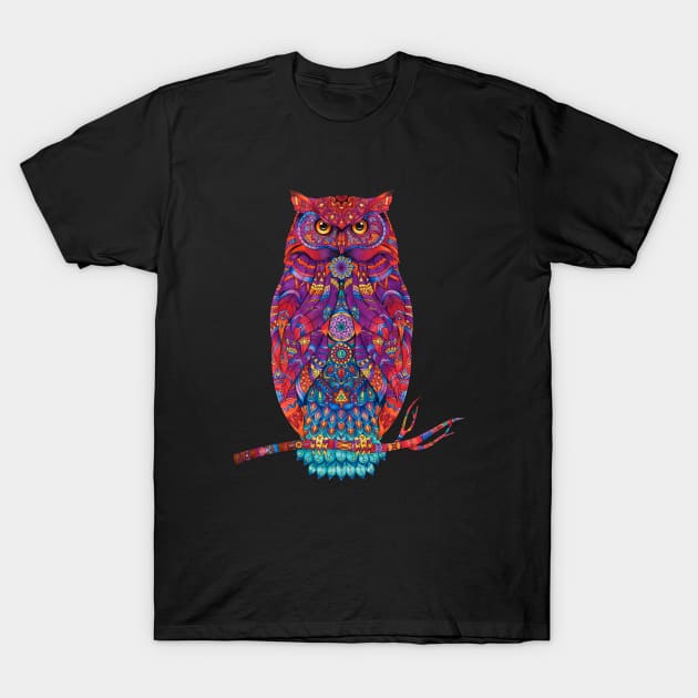 Owl Bird.Colorful owl T-Shirt by Breshka